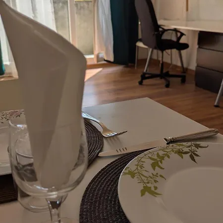 Superbe Studio 45 M Renove Avec Balcon Et Parking Gratuit Grenoble