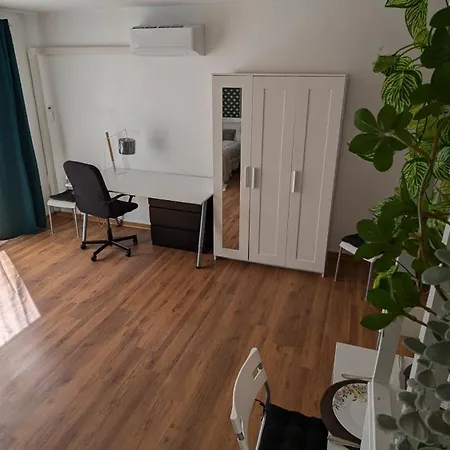 Superbe Studio 45 M Renove Avec Balcon Et Parking Gratuit * Grenoble