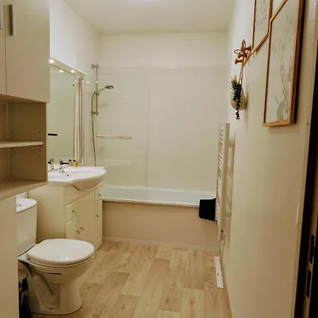 Superbe Studio 45 M Renove Avec Balcon Et Parking Gratuit Γκρενόμπλ