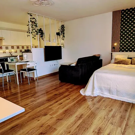 Superbe Studio 45 M Renove Avec Balcon Et Parking Gratuit * Grenoble