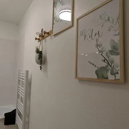 Superbe Studio 45 M Renove Avec Balcon Et Parking Gratuit Apartman *
