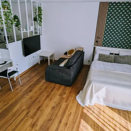 Superbe Studio 45 M Renove Avec Balcon Et Parking Gratuit Γκρενόμπλ